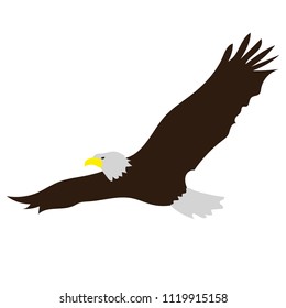 Eagle emblem isolated on white vector illustration. American symbol of freedom and