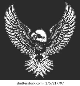 Eagle emblem isolated on white vector illustration. World symbol of freedom. Retro color logo of falcon. Eagle detailed logo.