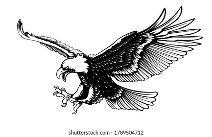 Eagle emblem isolated on white vector illustration. World symbol of freedom. Retro color logo of falcon. Eagle detailed logo.