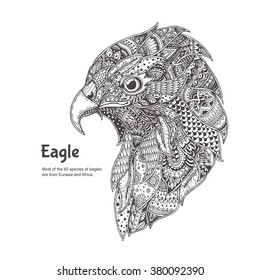 Eagle with ethnic floral doodle pattern. Coloring page - zendala, design for spiritual relaxation for adults, vector illustration, isolated on a white background. Zen doodles.