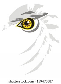 Eagle Eye Eagle Eye