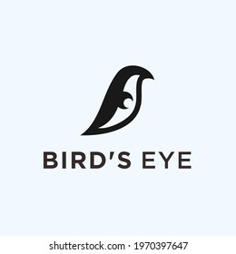 eagle eye logo design vector illustration