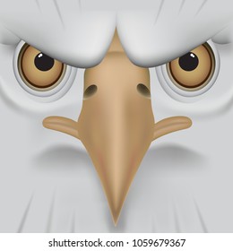 Eagle face, cartoon drawing. Hand drawn eagle face for web site, t shirt, apparel and logo. Creative art concept, vector illustration, eps 10