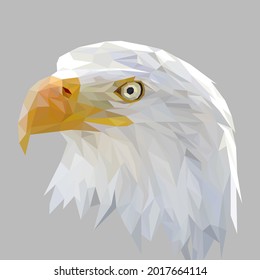 Cara de águila con diseño geométrico, triangular de baja polilla e ilustración vectorial de cuadro de alambre EPS 10 aislado. Diseño de logotipo moderno de estilo poligonal. Adecuado para imprimir en una camiseta.