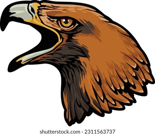 Eagle Face Illustration. Vector. Fly. Sky