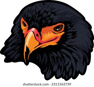 Ilustración de Águila Cara. Vector. Volar. Cielo
