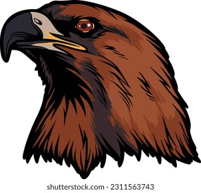 Ilustración de Águila Cara. Vector. Volar. Cielo