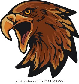 Eagle Face Illustration. Vector. Fly. Sky