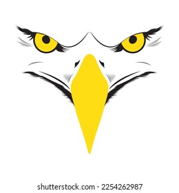 Eagle face image, eagle head vector.