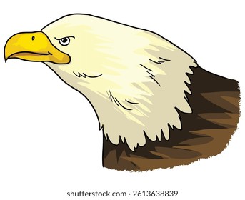 Eagle face isolated on a white background