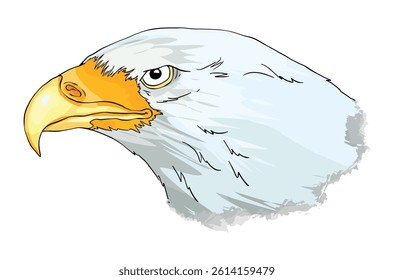 Eagle face on white background illustration