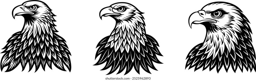 Eagle face silhueta conjunto, cabeça Eagle Vetor ilustrações pacote.