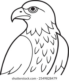 Eagle falcon bird vector art outline black color illustration