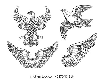 Águila, halcón, pájaro, ala, doble ala. Estilos de carácter tradicionales para escudos de armas y escudos. Imágenes prediseñadas, conjunto de elementos para la ilustración vectorial de diseño.