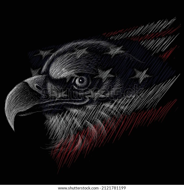Eagle falcon\
crow bird vector illustration art print T-shirt apparel or tattoo\
design or outwear.  Hunting style eagle background. This hand\
drawing is for black fabric or\
canvas.