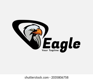 eagle falcon hawk bird head protect logo template illustration inspiration