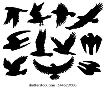 Eagle, falcon and hawk black silhouettes with flying and hunting birds of prey. Heraldic animals with spread wings and attacking claws, american patriotic symbols, falconry emblems