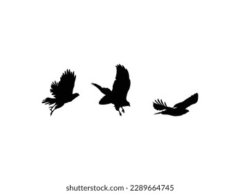 Eagle, falcon and hawk black silhouettes with flying and hunting birds of prey. eagle hawk falcon silhouette icon set.eagle icon illustration isolated vector sign symbol. isolated on white background.