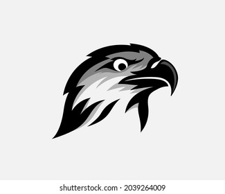 eagle falcon hawk head pájaro logo plantilla ilustración inspiración