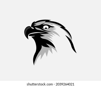 eagle falcon hawk head drawing art logo template illustration inspiration