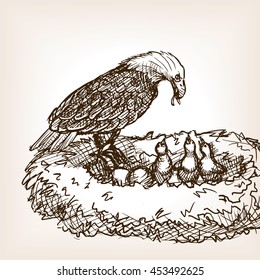 Eagle feeding baby birds sketch style vector illustration. Old hand drawn engraving imitation.