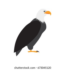 eagle flat icon. You can be used eagle icon for several purposes like: websites, UI, UX, print templates, promotional materials, info-graphics, web and mobile phone apps.
