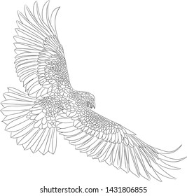 The eagle flies - drawing for coloring, black outline on a white background