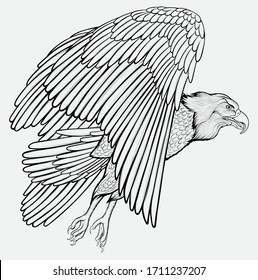 Eagle flies. Soaring bird of prey flaps its wings and glides through the air rising into the sky. Linear vector illustration of a hunting hawk.