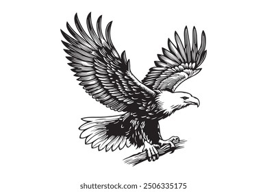 eagle in flight color vector silhouette 