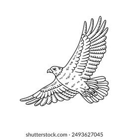 Águila en vuelo. Ilustración dibujada a mano en estilo de esbozo.