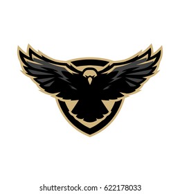 Eagle in flight, logo, symbol.