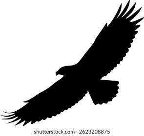 Eagle in Flight silhouette icon vector flat design on white background.