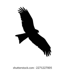 Eagle in flight silhouette vector, Eagle vector, eagle flying in the sky.