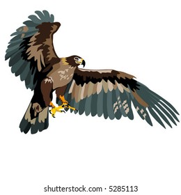 Eagle in flight. Simple vector.