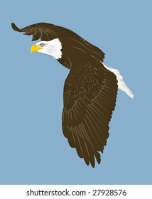 eagle in flight vector illustration, against blue grey alaska sky