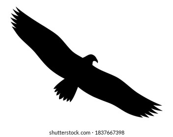 Eagle in flight. Vector silhouette of a gliding eagle.