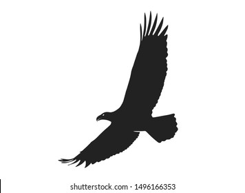 eagle in flight with wide wingspan. isolated vector silhouette image of bird
