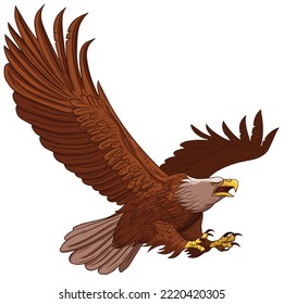 eagle fly angle vector graphics illustration