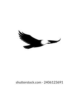 Eagle fly free at the sky