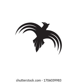 Eagle fly style logo. Phoenix hawk and falcon symbol