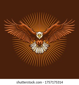 eagle fly vector illustration on dark background