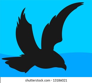 eagle flying 	