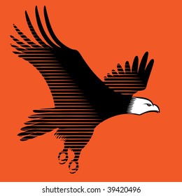 Eagle flying