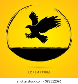 Eagle flying attack graphic vector.