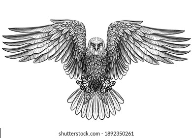 The eagle. Flying bald eagle. Graphic, black and white drawing of a bird of prey sketch on a white background. Digital vector graphics. Separate layers