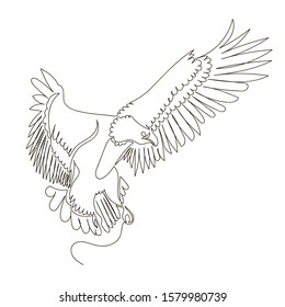 eagle. flying bird. vector contour image of an eagle. one continuous line