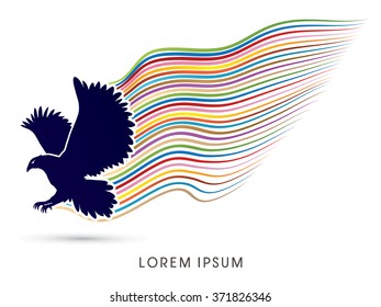 Eagle flying with colorful line movement graphic vector.