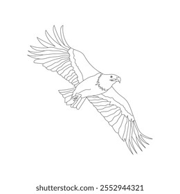 eagle flying coloring page vector illustration