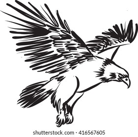 eagle flying contrast illustration