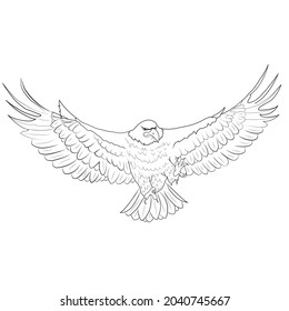 líneas de dibujo voladoras de águila fauna silvestre